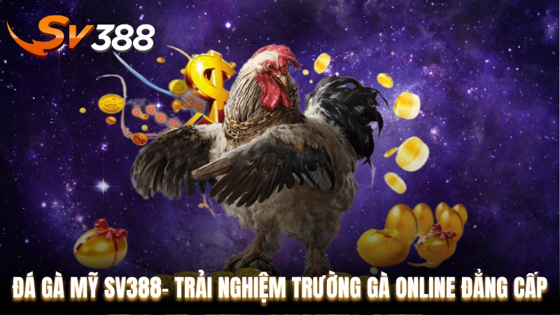 Đá Gà Mỹ SV388- Trải Nghiệm Trường Gà Online Đẳng Cấp