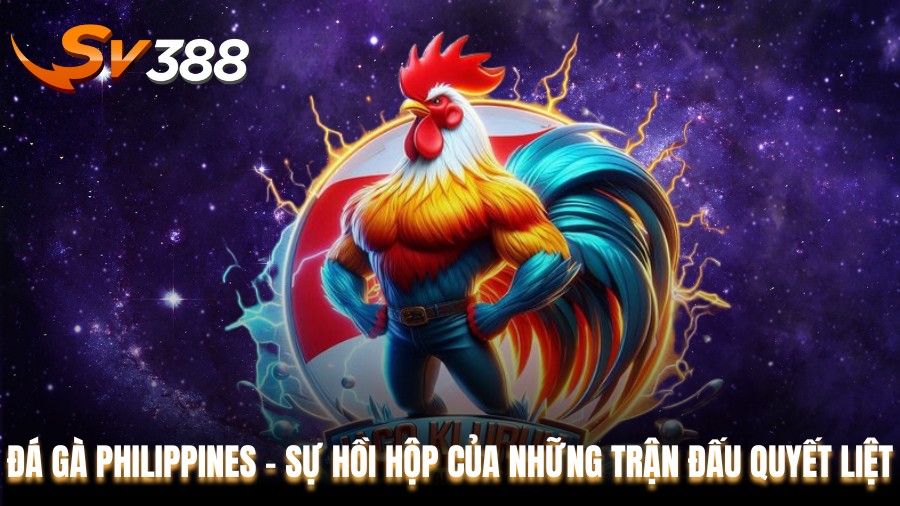 Đá gà Philippines SV388 - Sự Hồi Hộp Của Những Trận Đấu Quyết Liệt