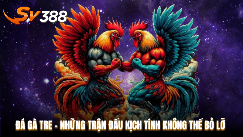 Đá gà tre SV388 - Những Trận Đấu Kịch Tính Không Thể Bỏ Lỡ