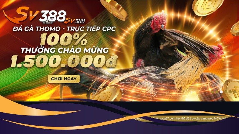 Tổng quan về Đá gà Mỹ SV388